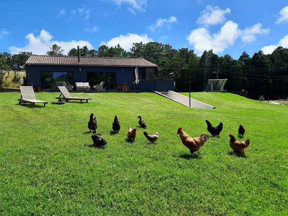 Villa Quinta De Sao Jose Sao Pedro  Exterior foto